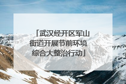 武汉经开区军山街道开展节前环境综合大整治行动