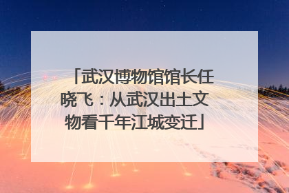 武汉博物馆馆长任晓飞：从武汉出土文物看千年江城变迁
