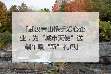 武汉青山携手爱心企业，为“城市天使”送端午暖“新”礼包