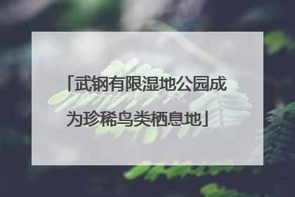 武钢有限湿地公园成为珍稀鸟类栖息地