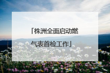 株洲全面启动燃气表首检工作