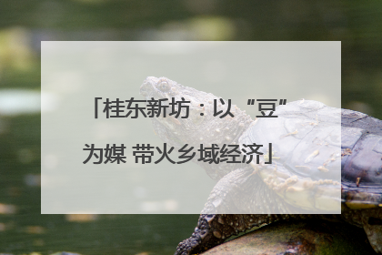 桂东新坊：以“豆”为媒 带火乡域经济