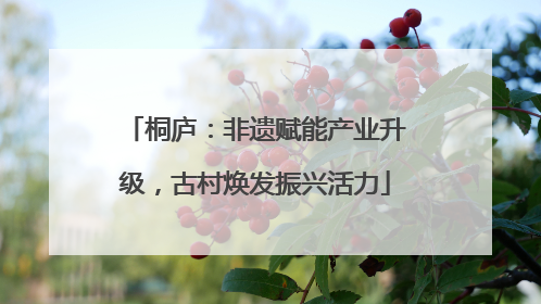 桐庐：非遗赋能产业升级，古村焕发振兴活力