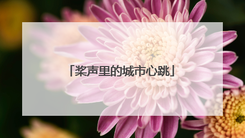 桨声里的城市心跳