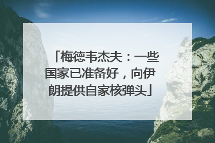 梅德韦杰夫：一些国家已准备好，向伊朗提供自家核弹头