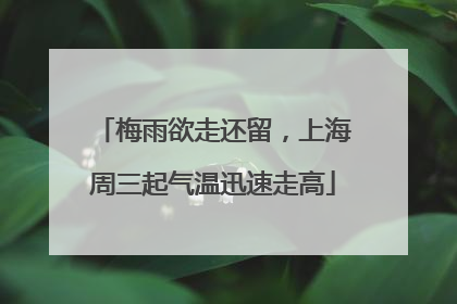 梅雨欲走还留，上海周三起气温迅速走高