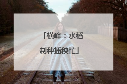 横峰：水稻制种插秧忙