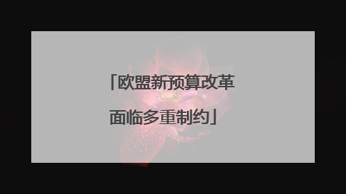 欧盟新预算改革面临多重制约