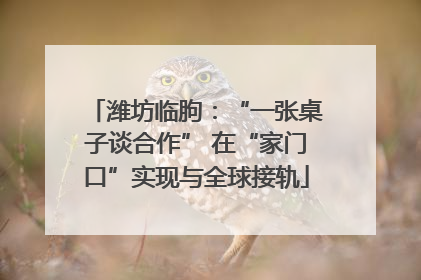潍坊临朐：“一张桌子谈合作” 在“家门口”实现与全球接轨