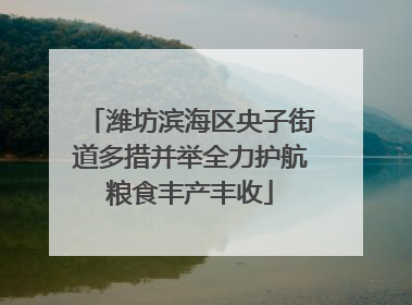 潍坊滨海区央子街道多措并举全力护航粮食丰产丰收