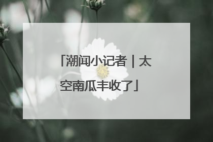 潮闻小记者｜太空南瓜丰收了