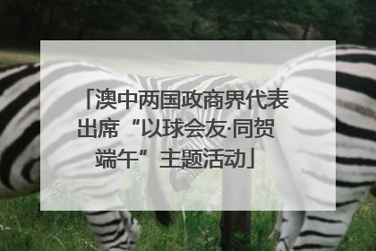 澳中两国政商界代表出席“以球会友·同贺端午”主题活动