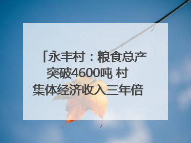 永丰村：粮食总产突破4600吨 村集体经济收入三年倍增｜牵挂的村