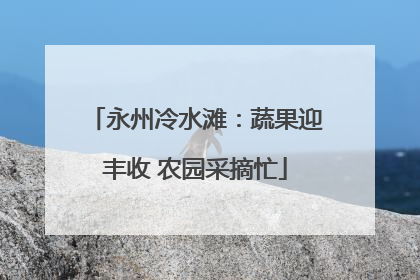 永州冷水滩：蔬果迎丰收 农园采摘忙