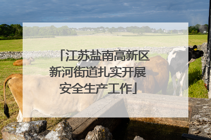 江苏盐南高新区新河街道扎实开展安全生产工作
