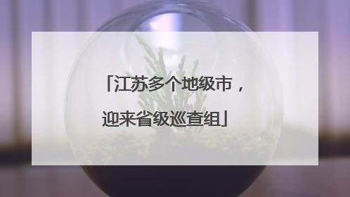 江苏多个地级市，迎来省级巡查组