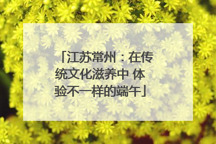 江苏常州：在传统文化滋养中 体验不一样的端午