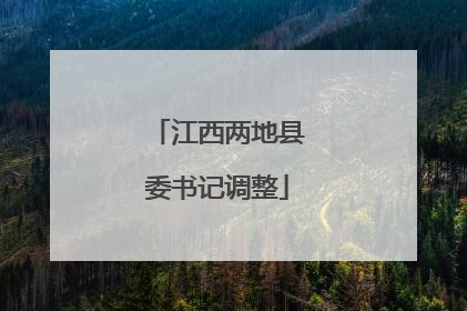 江西两地县委书记调整