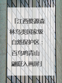 江西婺源森林鸟类国家级自然保护区：百鸟鸣青山 翩跹入画屏