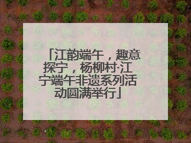 江韵端午，趣意探宁，杨柳村·江宁端午非遗系列活动圆满举行