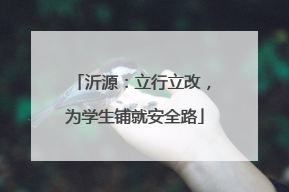 沂源：立行立改，为学生铺就安全路