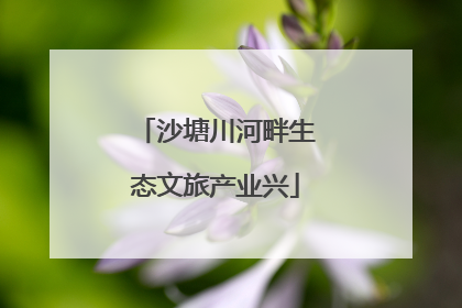 沙塘川河畔生态文旅产业兴