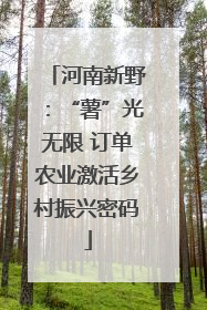 河南新野：“薯”光无限 订单农业激活乡村振兴密码