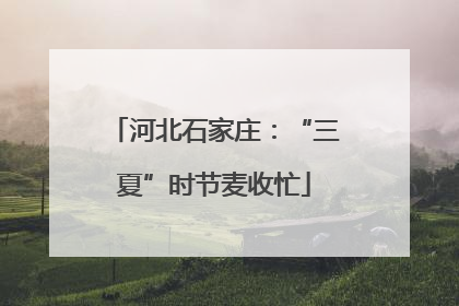 河北石家庄：“三夏”时节麦收忙