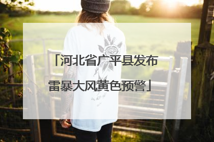 河北省广平县发布雷暴大风黄色预警