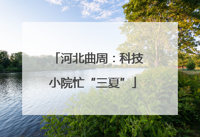 河北曲周：科技小院忙“三夏”