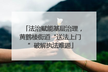 法治赋能基层治理，黄鹤楼街道“送法上门”破解执法难题