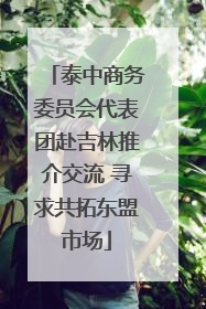 泰中商务委员会代表团赴吉林推介交流 寻求共拓东盟市场