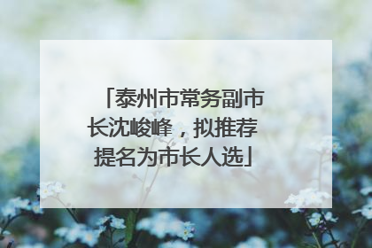 泰州市常务副市长沈峻峰，拟推荐提名为市长人选