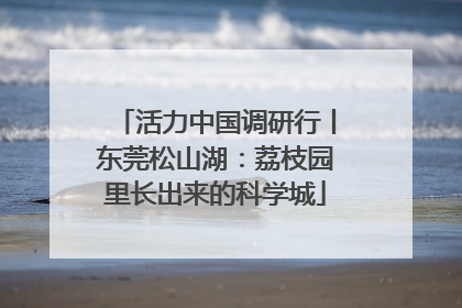 活力中国调研行丨东莞松山湖：荔枝园里长出来的科学城