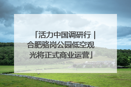 活力中国调研行｜合肥骆岗公园低空观光将正式商业运营