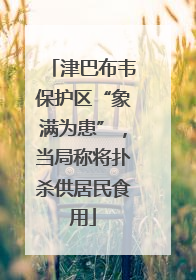 津巴布韦保护区“象满为患”，当局称将扑杀供居民食用