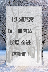 洪湖燕窝镇：血肉铸长堤 奋进谱新曲