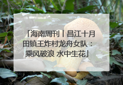 海南周刊丨昌江十月田镇王炸村龙舟女队：乘风破浪 水中生花