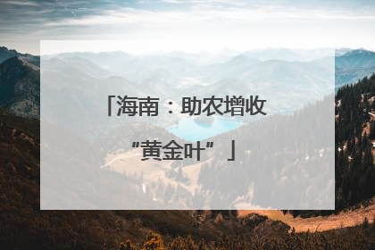 海南：助农增收 “黄金叶”