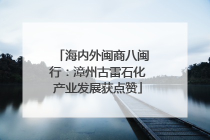 海内外闽商八闽行：漳州古雷石化产业发展获点赞