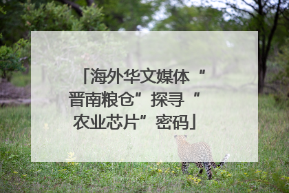 海外华文媒体“晋南粮仓”探寻“农业芯片”密码