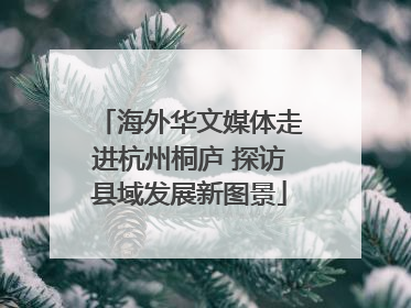 海外华文媒体走进杭州桐庐 探访县域发展新图景