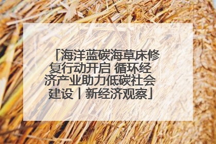 海洋蓝碳海草床修复行动开启 循环经济产业助力低碳社会建设丨新经济观察