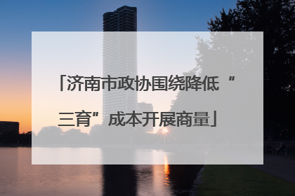 济南市政协围绕降低“三育”成本开展商量