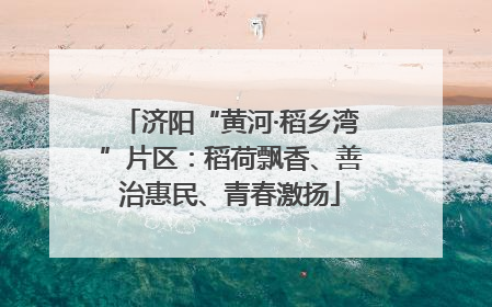 济阳“黄河·稻乡湾”片区：稻荷飘香、善治惠民、青春激扬