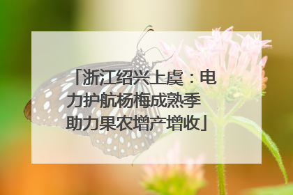浙江绍兴上虞：电力护航杨梅成熟季 助力果农增产增收