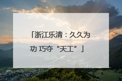 浙江乐清：久久为功 巧夺“天工”