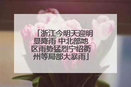 浙江今明天迎明显降雨 中北部地区雨势猛烈宁绍衢州等局部大暴雨