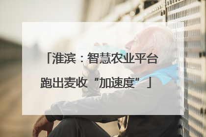 淮滨：智慧农业平台跑出麦收“加速度”