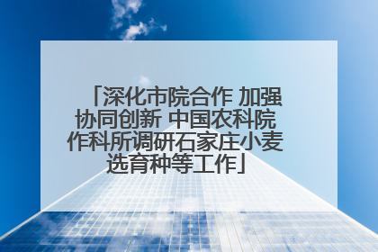 深化市院合作 加强协同创新 中国农科院作科所调研石家庄小麦选育种等工作